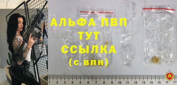 прущие грибы Кинешма