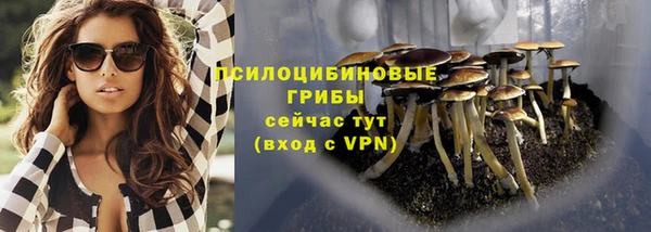 таблы Карпинск