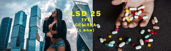 прущие грибы Кинешма
