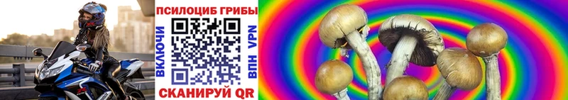 Купить закладки  Южно-Сахалинск  Псилоцибиновые грибы Psilocybine cubensis 